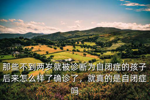 那些不到兩歲就被診斷為自閉癥的孩子后來(lái)怎么樣了確診了，就真的是自閉癥嗎