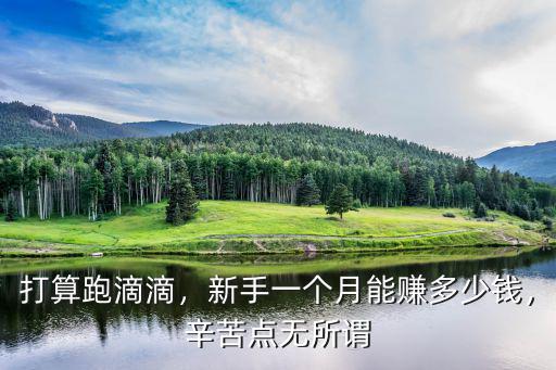 打算跑滴滴，新手一個月能賺多少錢，辛苦點無所謂