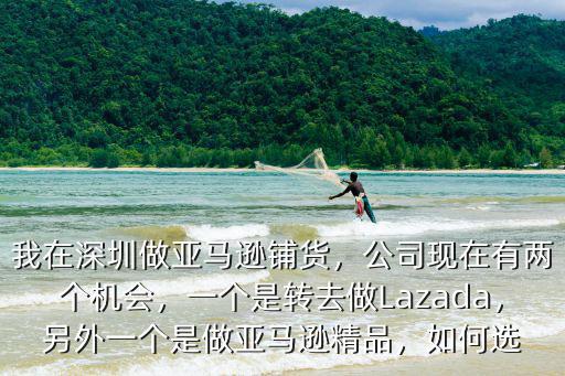 我在深圳做亞馬遜鋪貨，公司現在有兩個機會，一個是轉去做Lazada，另外一個是做亞馬遜精品，如何選