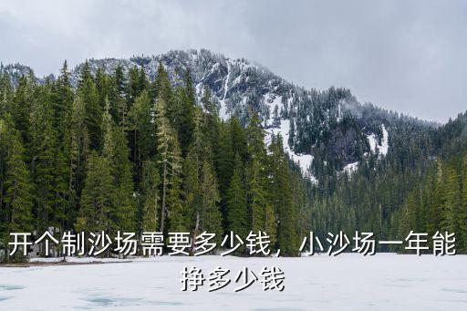 開個制沙場需要多少錢，小沙場一年能掙多少錢