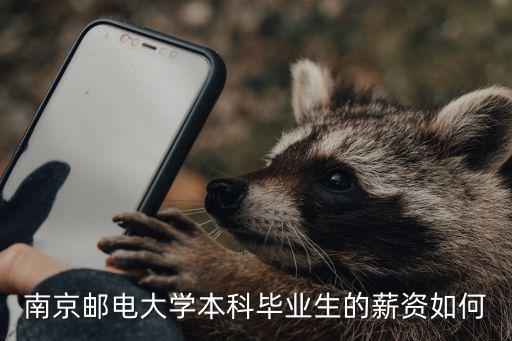 南京郵電大學的畢業率是多少,雙非高校南京郵電大學