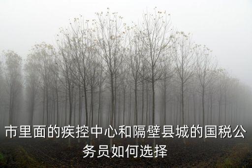 市里面的疾控中心和隔壁縣城的國稅公務員如何選擇