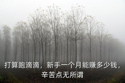 宿遷跑出租車的一個月能賺多少錢,開出租車一個月賺多少錢