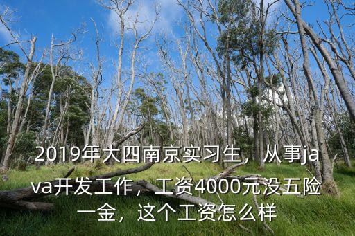 南京的工資一般多少2019年,2019年大四南京實習生