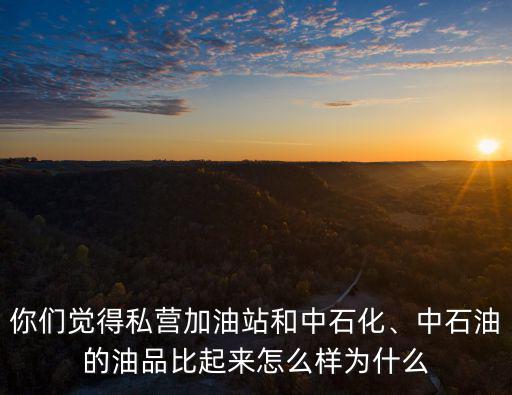 你們覺得私營加油站和中石化、中石油的油品比起來怎么樣為什么