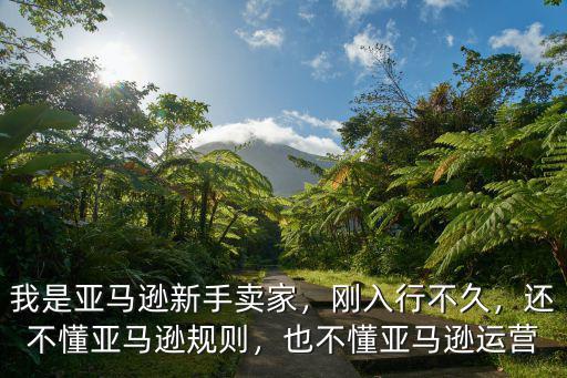 深圳亞馬遜招商怎么運(yùn)營(yíng),新手怎么做亞馬遜