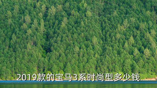 2019款的寶馬3系時(shí)尚型多少錢