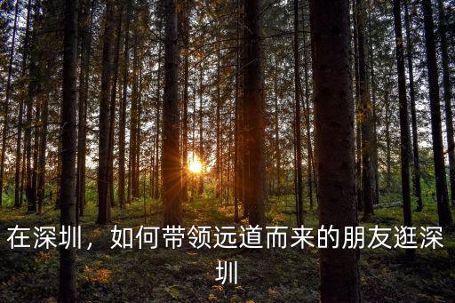 在深圳，如何帶領遠道而來的朋友逛深圳