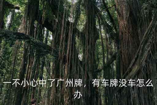 搖到廣州牌沒(méi)車怎么辦,一不小心中了廣州牌