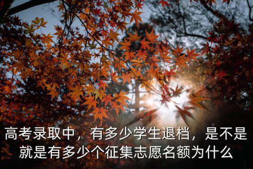高考錄取中，有多少學(xué)生退檔，是不是就是有多少個征集志愿名額為什么