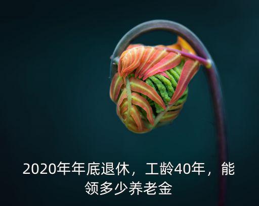蘇州40年工齡可領多少養老金,能領多少養老金