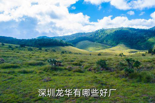 深圳龍華大些電子廠怎么去,深圳龍華有哪些好廠