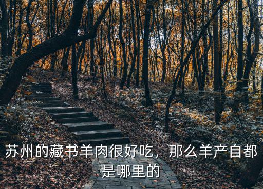 蘇州藏書羊肉多少一斤2020年,蘇州的藏書羊肉這么多