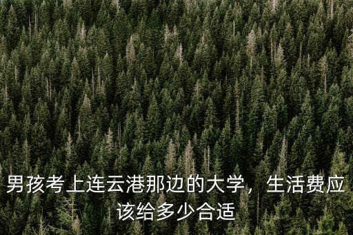 男孩考上連云港那邊的大學，生活費應該給多少合適
