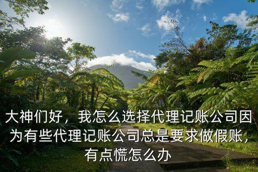 大神們好，我怎么選擇代理記賬公司因為有些代理記賬公司總是要求做假賬，有點慌怎么辦