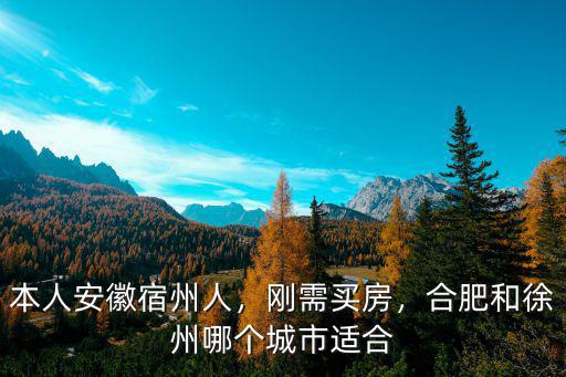從徐州到宿州多少里,本人安徽宿州人