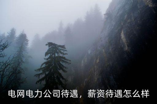 廣東江門電力公司貸遇怎么樣,電網電力公司待遇