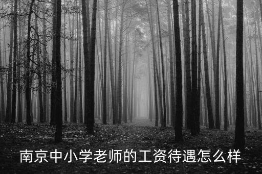南京中教一級教師的工資有多少,中小學正高級教師