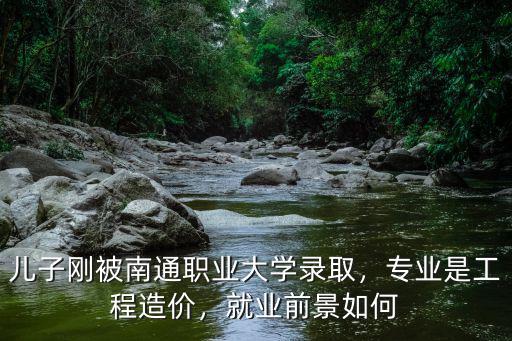 南通職業(yè)大學日語專業(yè)多少人,南通職業(yè)大學如何