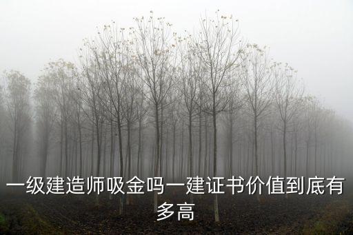 南京有多少一級建造師,一級建造師年薪一般有多少
