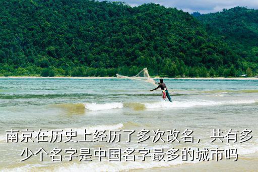 南京市李莉名字多少個,共有多少個名字