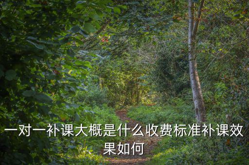 揚(yáng)州初三一對(duì)一費(fèi)用大概多少,初三學(xué)生一對(duì)一補(bǔ)課
