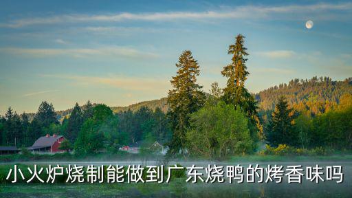 廣東燒鴨不熟怎么辦,第一次做廣東燒鴨