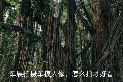 深圳寶體車展怎么沒車模,車展拍攝車模人像