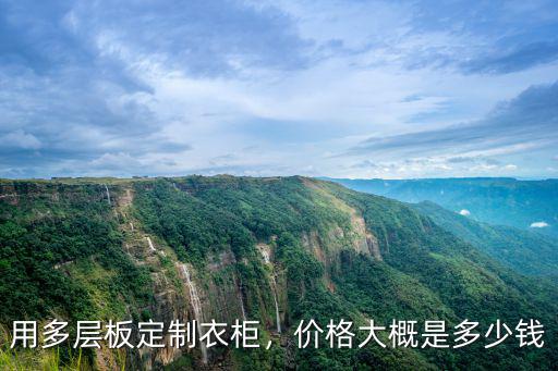 用多層板定制衣柜，價格大概是多少錢