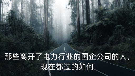 那些離開了電力行業的國企公司的人，現在都過的如何