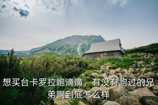 想買臺卡羅拉跑滴滴，有沒有跑過的兄弟啊到底怎么樣