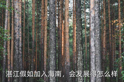 湛江假如加入海南，會發(fā)展得怎么樣