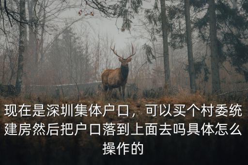 現(xiàn)在是深圳集體戶口，可以買(mǎi)個(gè)村委統(tǒng)建房然后把戶口落到上面去嗎具體怎么操作的