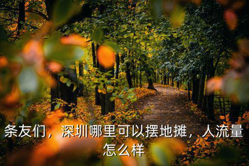 條友們，深圳哪里可以擺地攤，人流量怎么樣