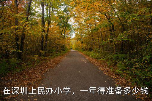 深圳民辦小學(xué)插班怎么進(jìn)學(xué)校,在深圳上民辦小學(xué)