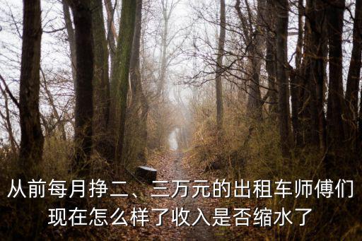 從前每月掙二、三萬元的出租車師傅們現在怎么樣了收入是否縮水了