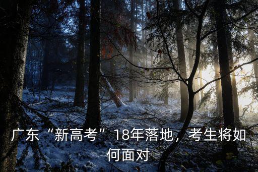 廣東“新高考”18年落地，考生將如何面對(duì)