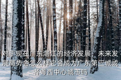 對于現在廣東湛江的經濟發展，未來發展局勢會怎么樣它會成為廣東第三城或者粵西中心城市嗎