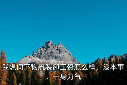 南京物流搬運工工資多少,我想問下物流裝卸工資怎么樣