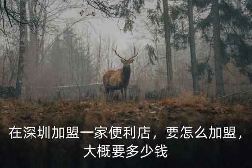 在深圳加盟一家便利店，要怎么加盟，大概要多少錢