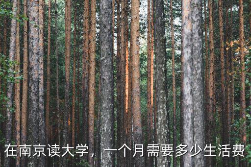 在南京上大學(xué)一月多少錢,在南京上大學(xué)