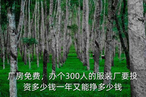廠房免費，辦個300人的服裝廠要投資多少錢一年又能掙多少錢