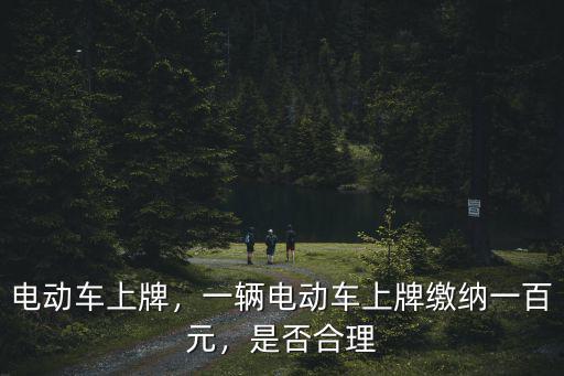 電動車上牌，一輛電動車上牌繳納一百元，是否合理
