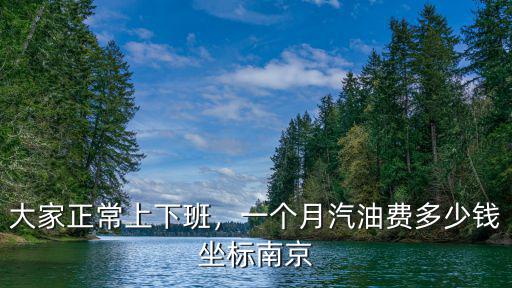 大家正常上下班，一個(gè)月汽油費(fèi)多少錢坐標(biāo)南京