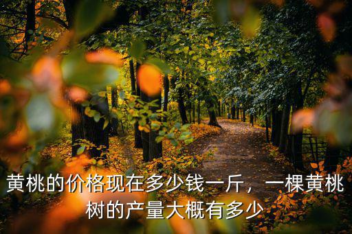 蘇州黃桃價格多少錢,黃桃最近價格低迷是什么原因