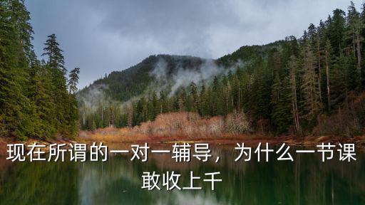 現在所謂的一對一輔導，為什么一節課敢收上千
