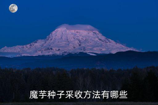 宜賓哪里有魔芋種子賣,魔芋種子采收方法有哪些