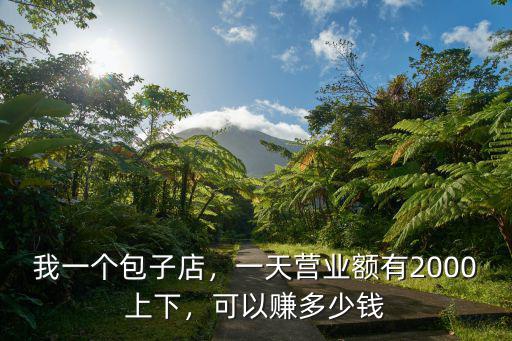 我一個包子店，一天營業(yè)額有2000上下，可以賺多少錢
