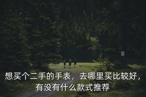 想買個(gè)二手的手表，去哪里買比較好，有沒有什么款式推薦