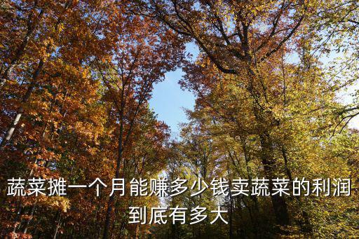 蘇州蔬菜店面 一個(gè)月多少錢,蔬菜攤一個(gè)月能賺多少錢